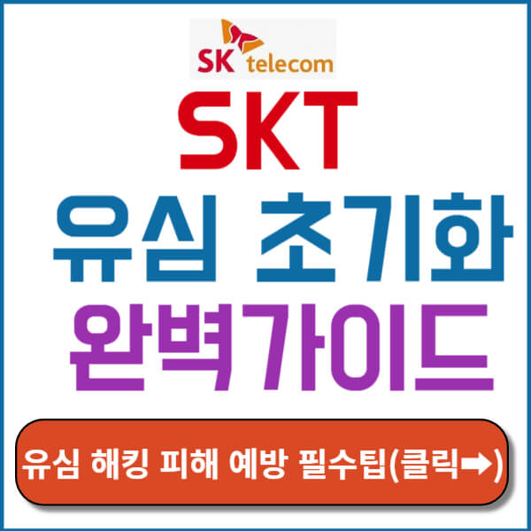 skt 유심 초기화 썸네일