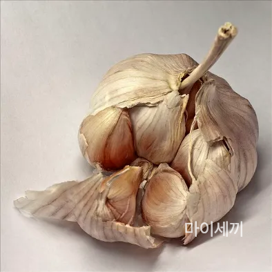 마늘