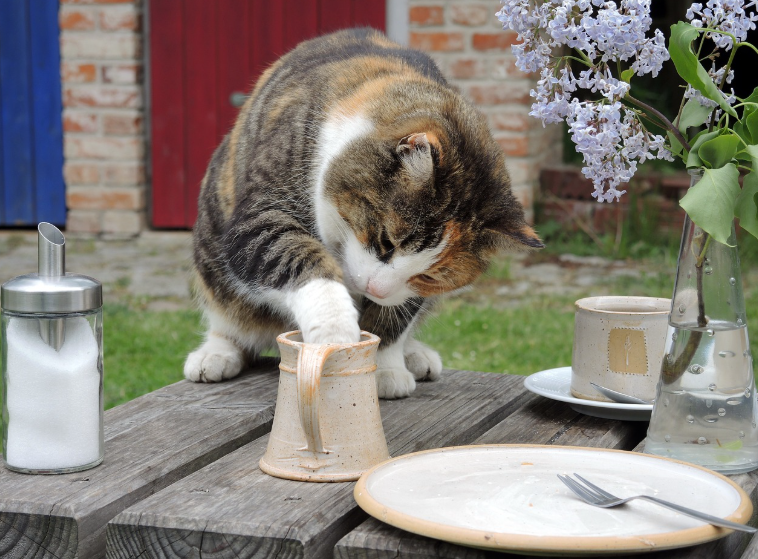 해외에서 안전하게 생활하는 법 – 사기 & 도난 방지 팁