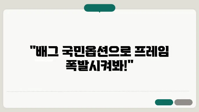 배그 국민옵션