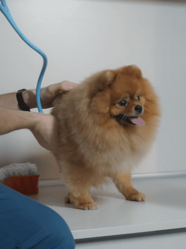 2025 질병별 진료비 비교표 공개│보험 가입 전 꼭 알아야 할 보장율 차이