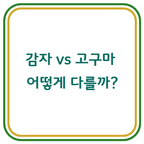 감자와 고구마의 영양 차이와 식단 활용법