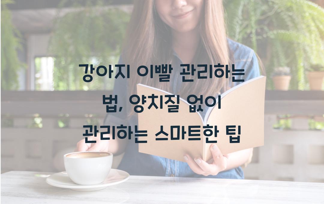 강아지 이빨 관리하는 법, 양치질 없이 깨끗하게 유지하는 방법