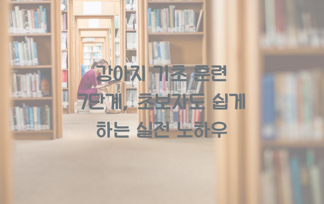 강아지 기초 훈련 7단계, 초보자도 쉽게 따라 하는 방법