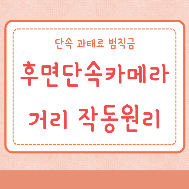 후면단속카메라 거리 작동원리