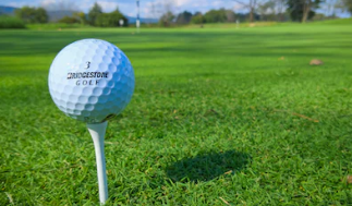 스크린 골프장 창업에 대하여 알아보기