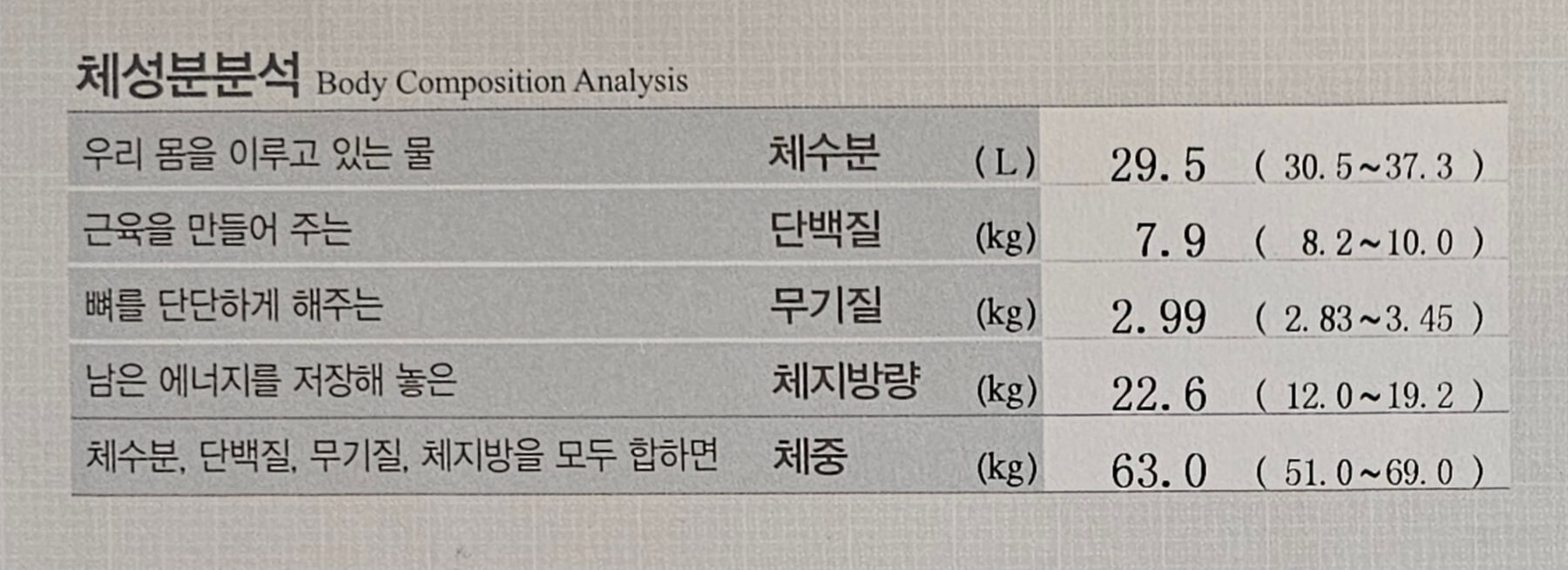 인바디 체성분분석