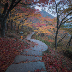 2025년 단풍 절정 시기 &ndash; 수도권&middot;충청권 단풍 명소 가상 이미지