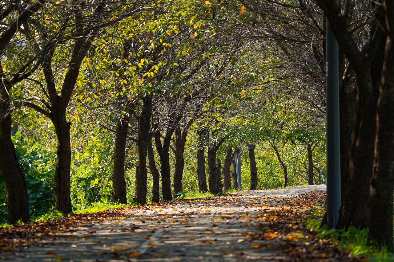 경기 북부 감성 드라이브 코스 관련 이미지