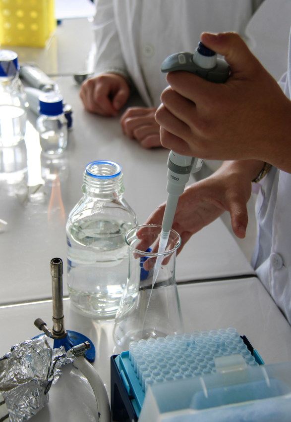 중학생 과학 공부 전략 – 내신·수능·회화까지 준비하는 로드맵