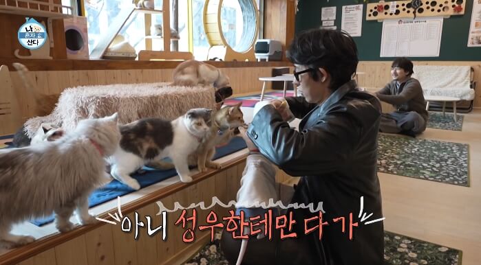 나혼산-부산-고양이카페