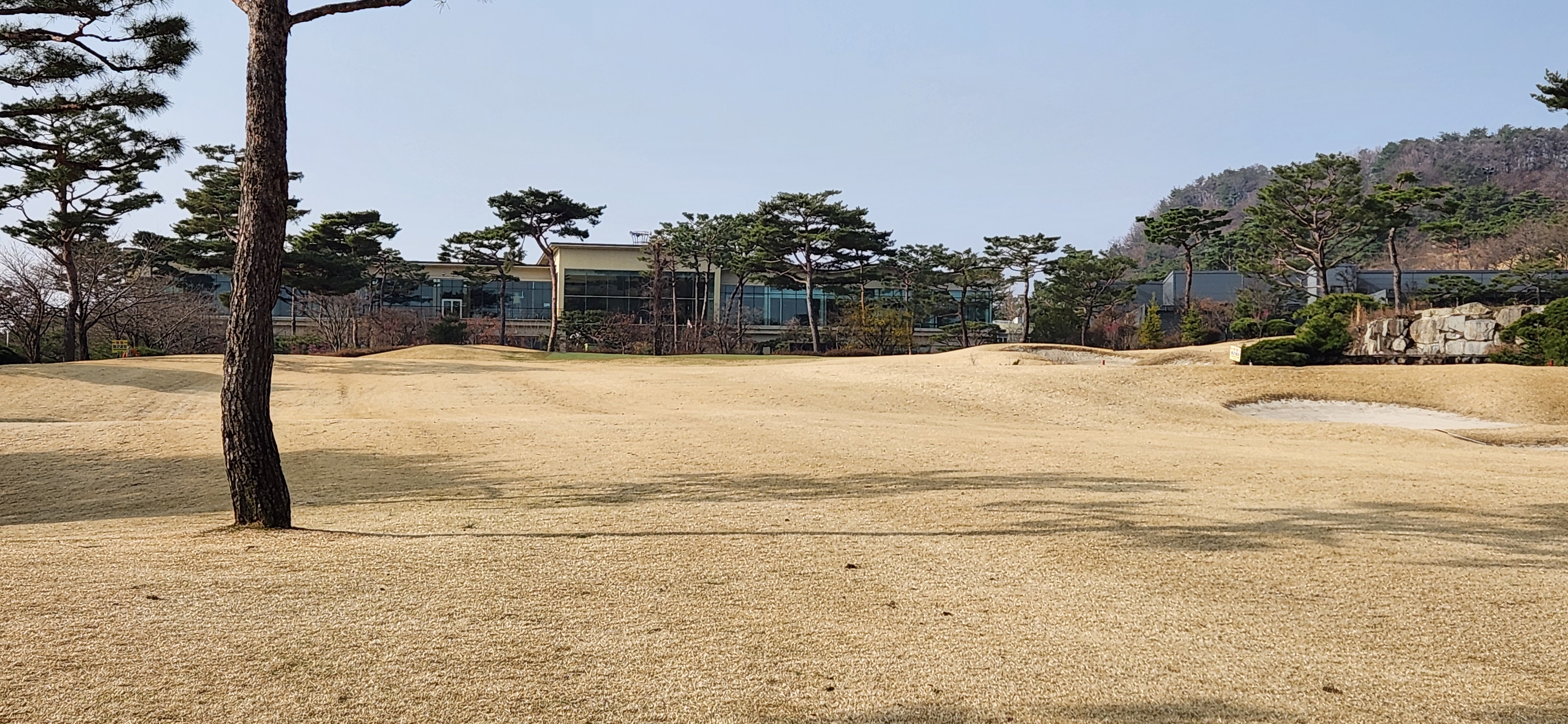 비에이비스타