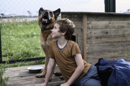 《팔마 (A Dog Named Palma, 2021)》 – 줄거리, 인물, 감상 포인트, 수상, 제작 비하인드