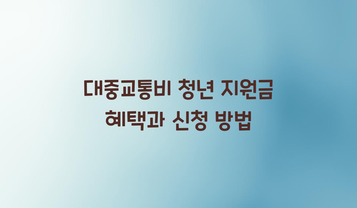 대중교통비 청년 지원금