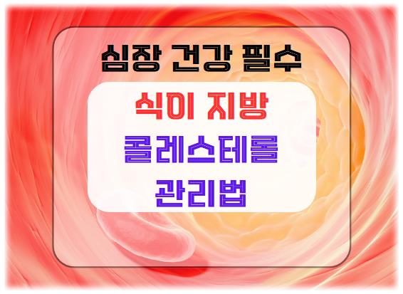 식이 지방과 콜레스테롤 관리법: 심장 건강에 필수