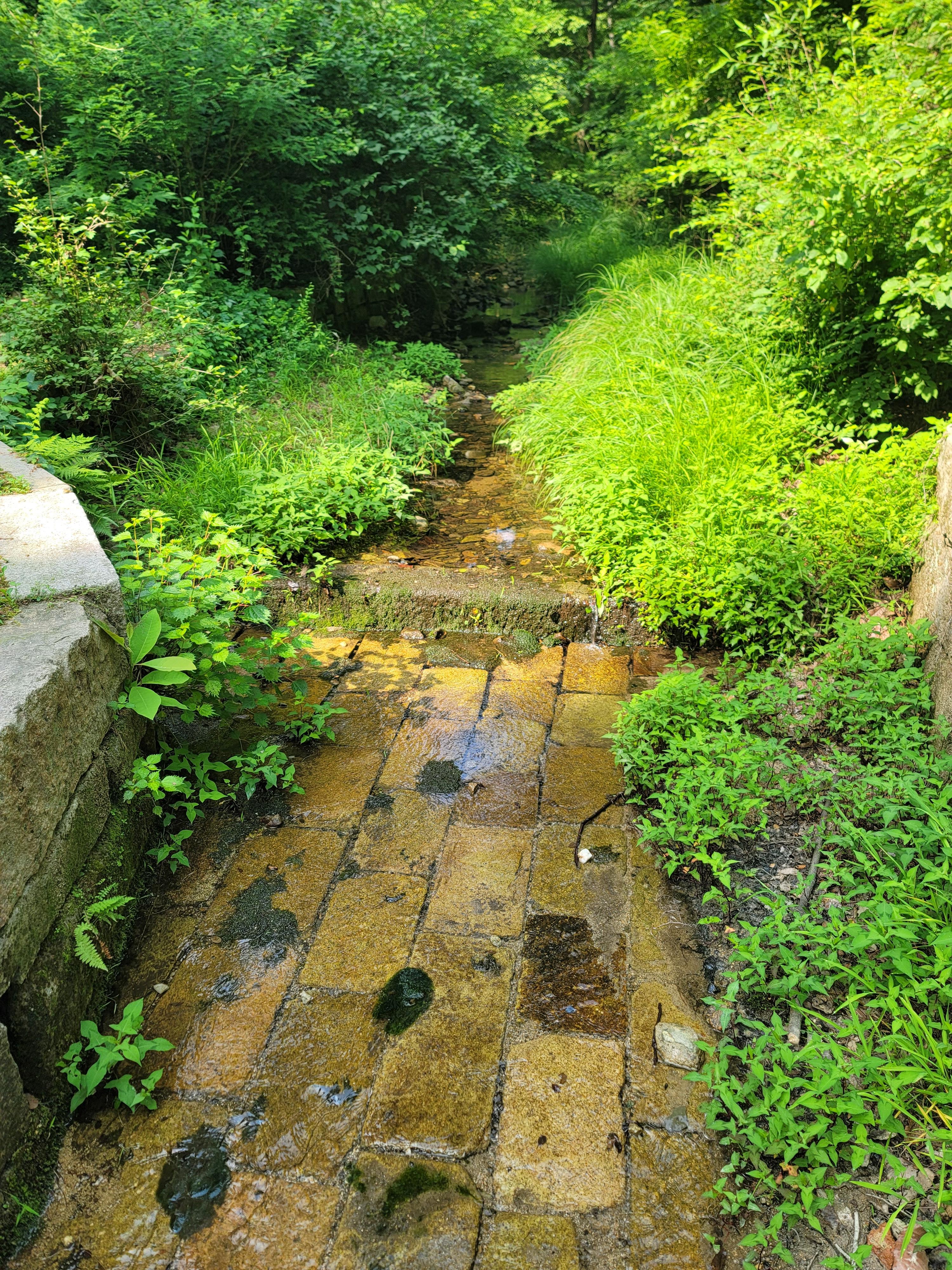 동구릉 관련사진