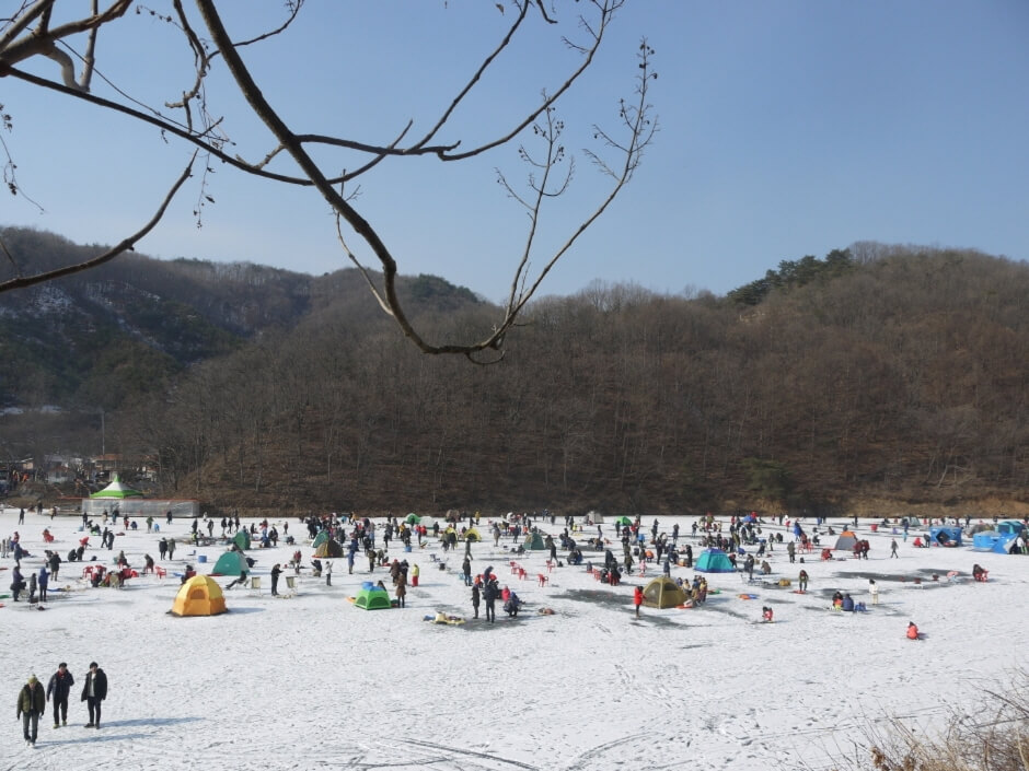 2025 빙어 송어 축제 예약정보 홈페이지 공지사항