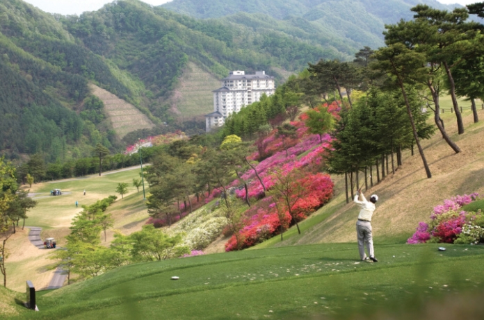엘리시안 강촌 골프