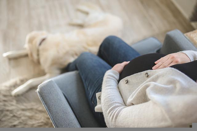 임신 초기 증상