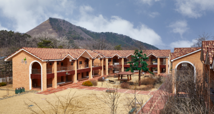 동해 무릉건강숲