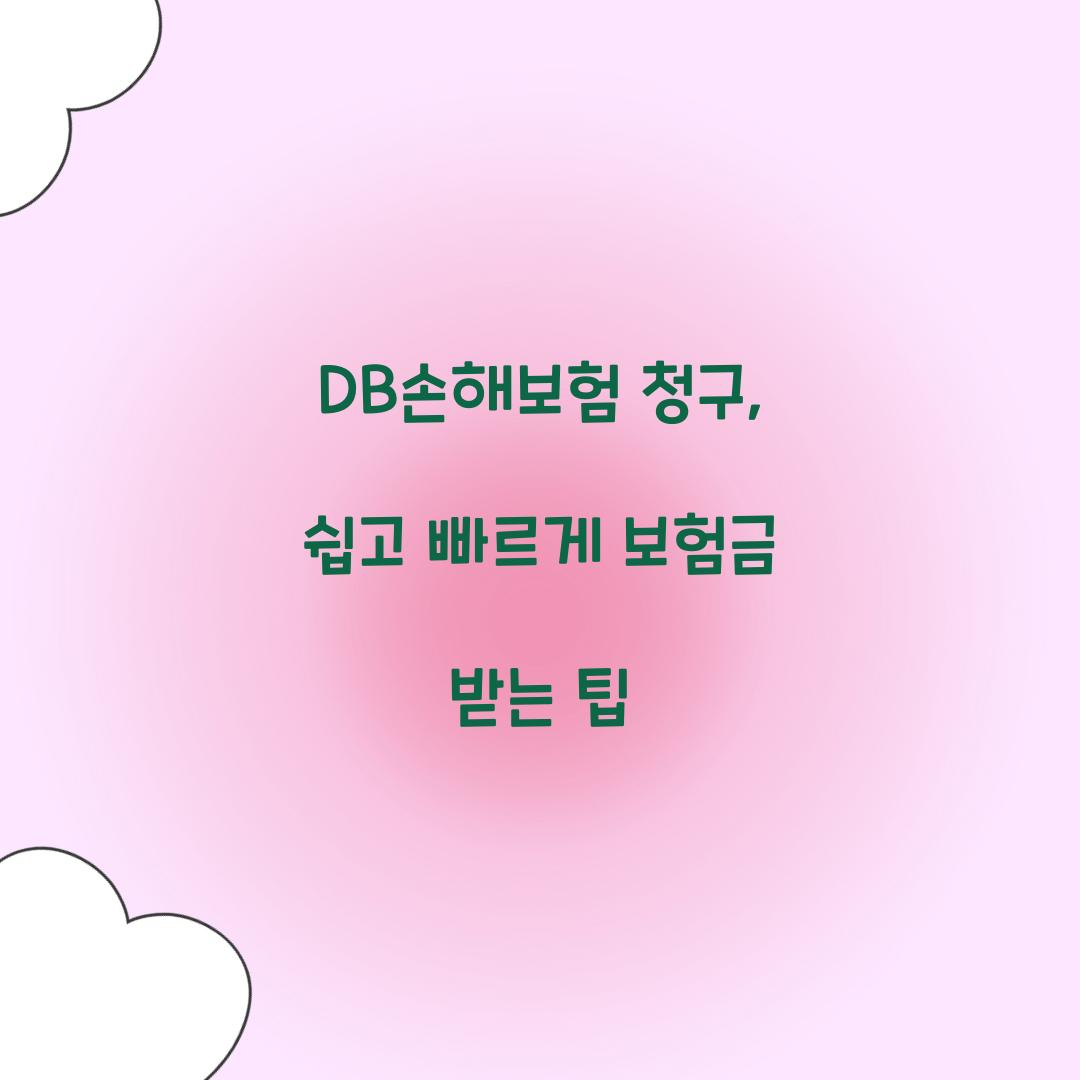 DB손해보험 청구