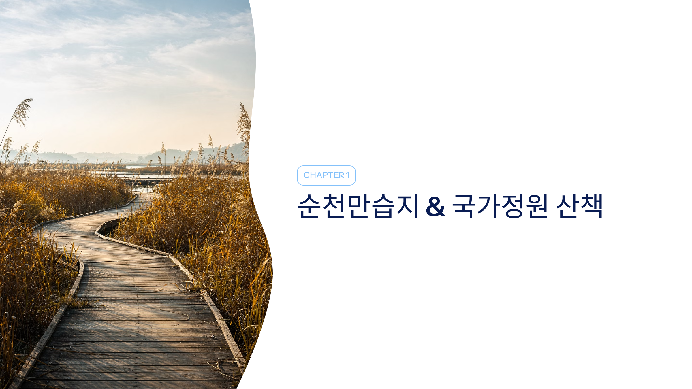 순천 근교 산책 달리기 트레킹 코스 추천 ❘ 습지부터 산줄기까지 걷는 여행