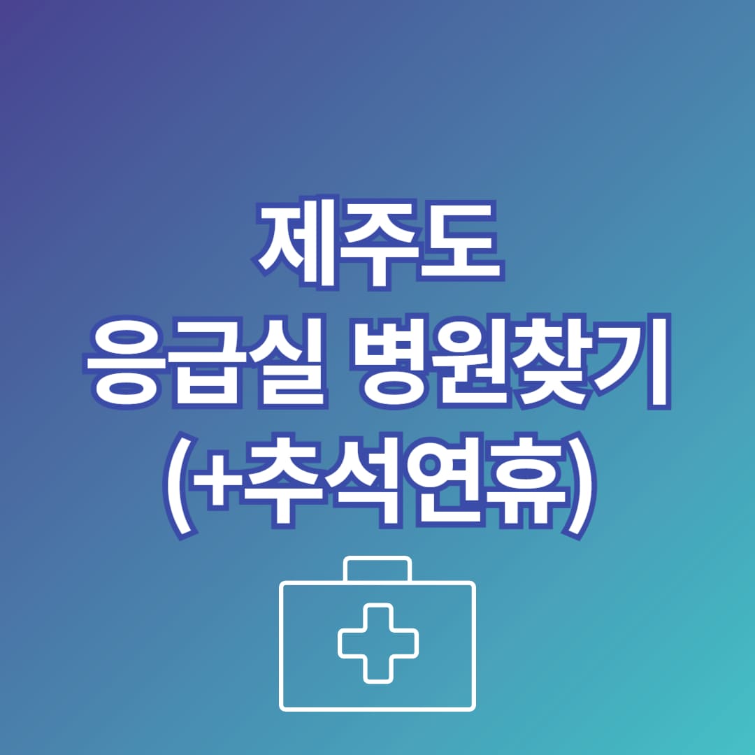 제주도 추석 응급실 병원 문 여는 곳 찾는 법 안내