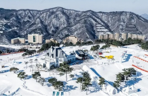 비발디파크