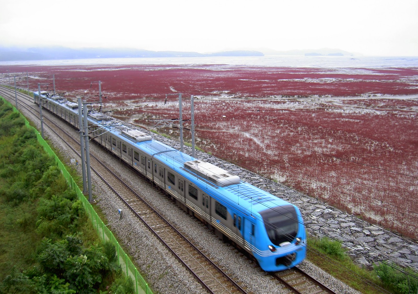 공항철도 고객지원 서비스 - 간편 지연증명서 발급