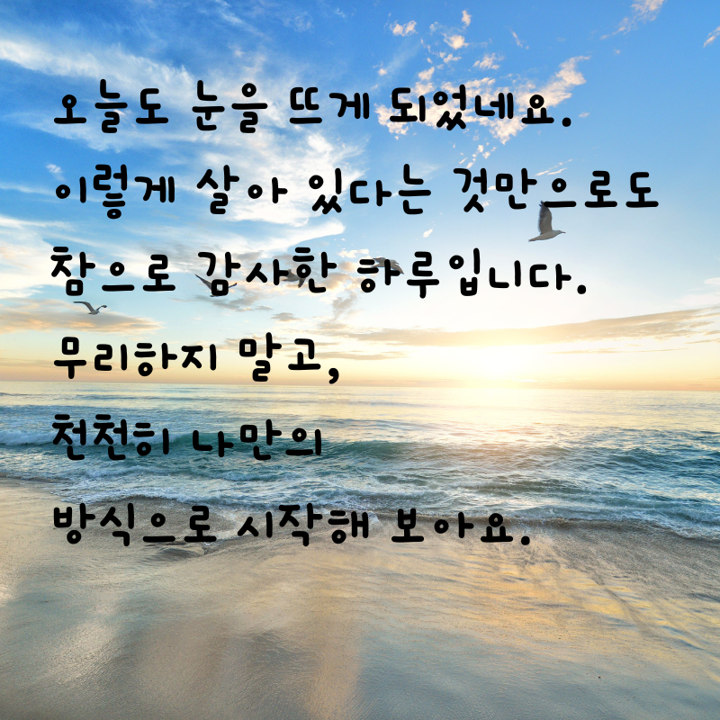 기분 좋은 아침 인사말 문구 이미지 모음