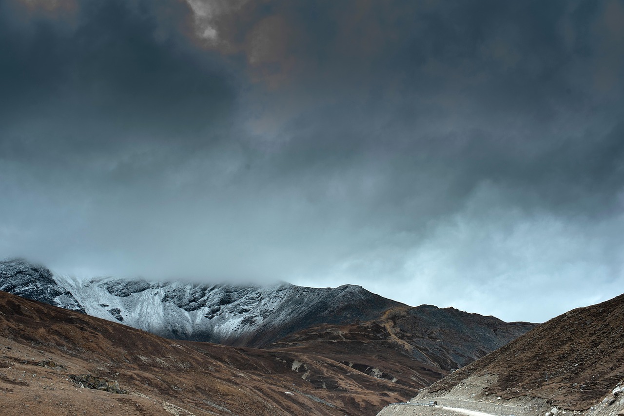 태어난김에 세계일주4 ott 재방송 시청률 근본논쟁 넷플릭스