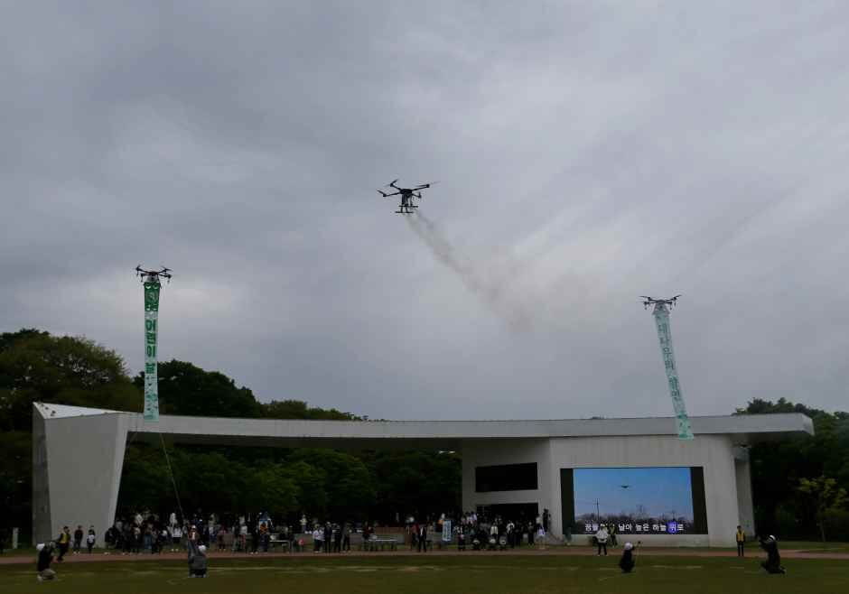 담양 대나무축제
