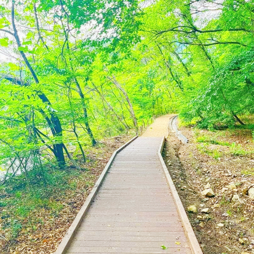 계룡산 하늘 소리길