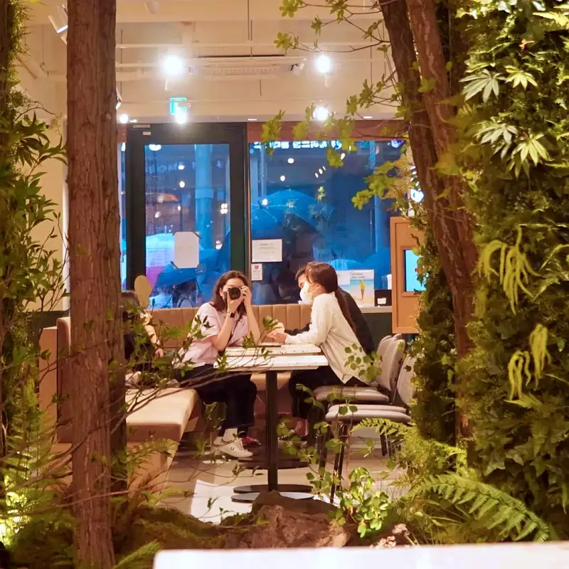 돈 잘버는 젊은사장 식물 인테리어로 부자가 되다 '억' 소리 나는 플랜테리어 조경설계 실내조경 식집사 서장훈 주우재 추천 소개