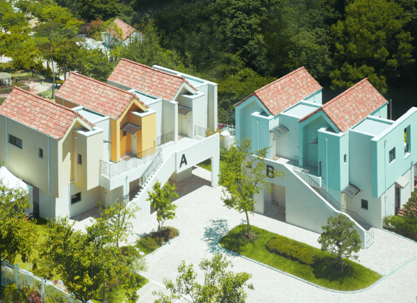 용인 자작나무숲