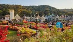 용인 에버랜드