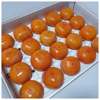 8월 제철음식