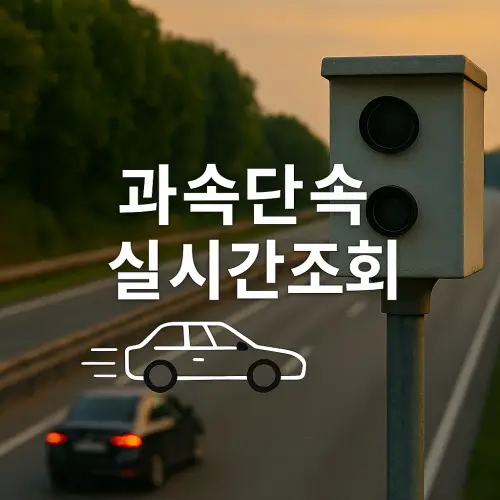 과속 단속 조회 실시간