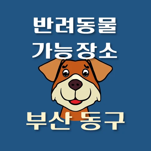썸네일-부산시-동구-반려동물-출입가능-장소