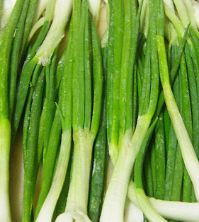 대파 효능과 부작용 고르는법