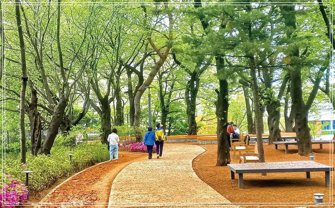 batch_img_info1_11_05_02_05