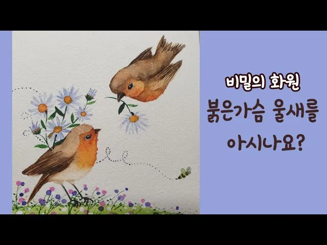 붉은가슴울새 영국 겨울 새 특징 매력 이미지_8