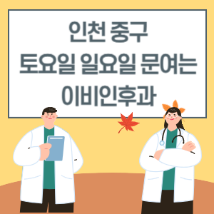 인천 중구 토요일 일요일 이비인후과 진료 병원 리스트