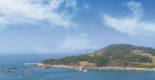 청산도 운항요금