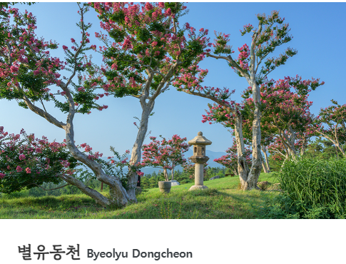 대구 군위 사유원 관람 예약