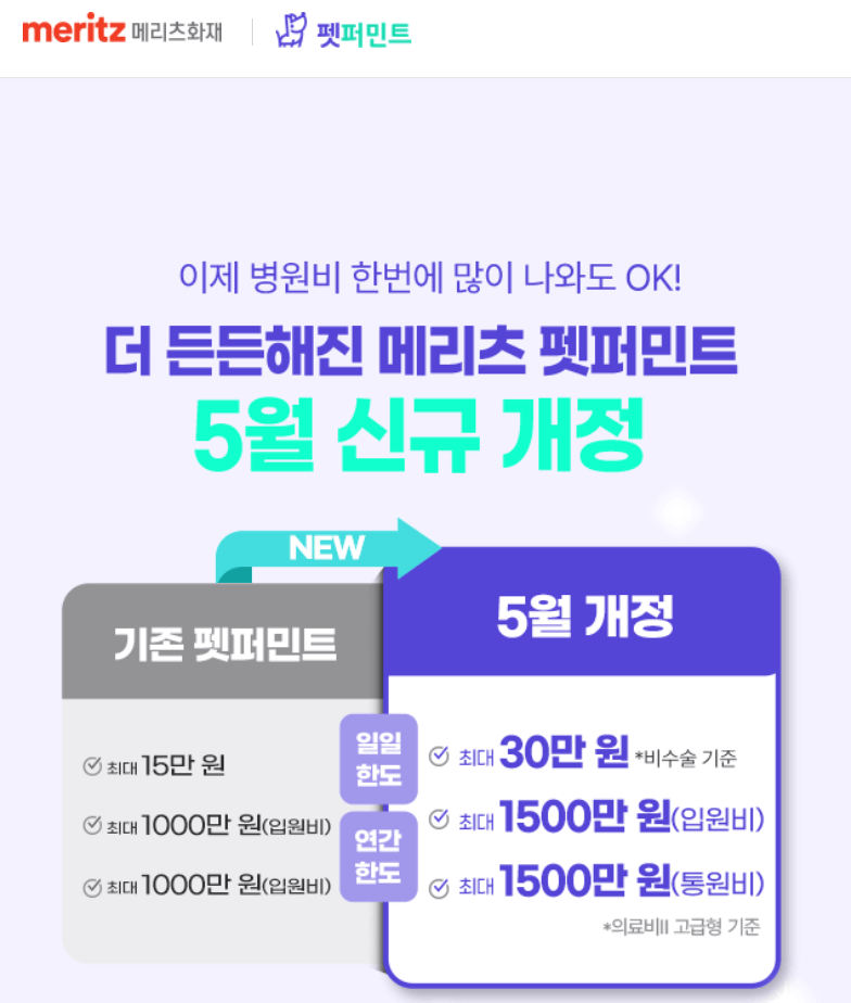KB손해보험
