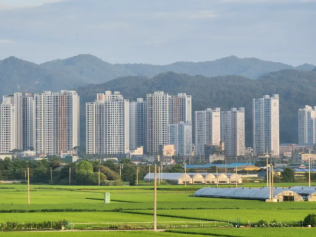 사업자 없이 부동산 수익 올릴 때 생기는 문제