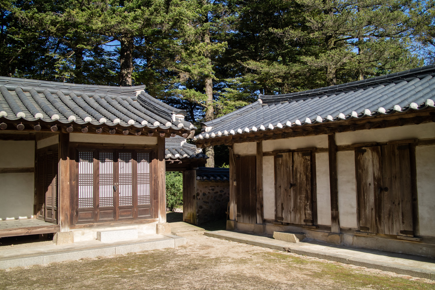 파주 삼릉