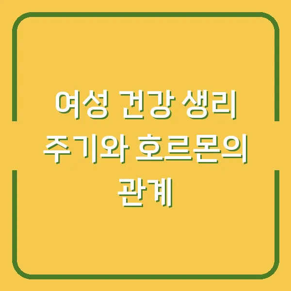 여성 건강 생리 주기와 호르몬의 관계
