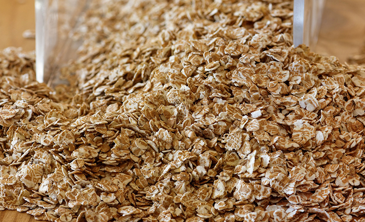 오트밀크 귀리 우유 유당불내증 증상 유당불내증 대체우유